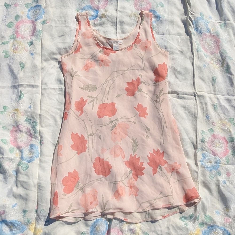 Vintage Express Chiffon Dress